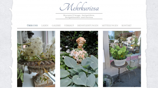 Referenz - Mehrkuriosa Basel